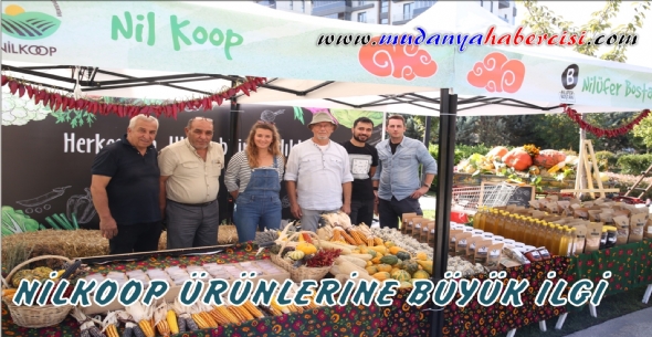 NLKOOP RNLERNE BYK LG